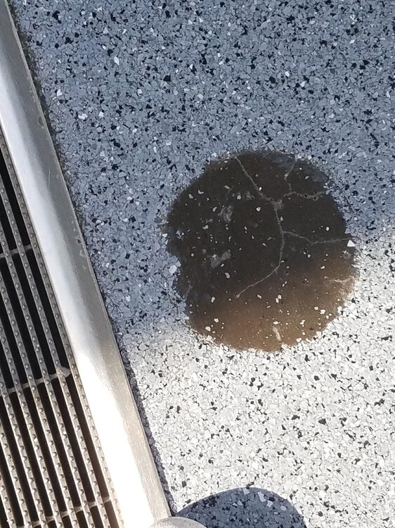 20190420_173534.thumb.jpg.e57c089cd5e29418c9db9217d77ebeb5.jpg