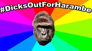 image.jpeg.bd81a0c3540253dfc98c848c8d094ab8.jpeg