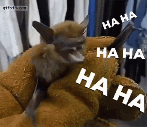 image.gif.1d9503af294d1542082d740e266e0deb.gif