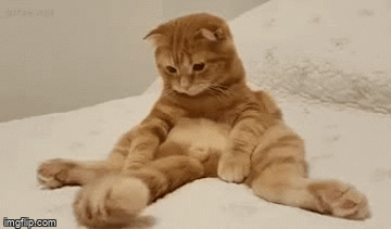 3w7i0r.gif.7850ddfaad289716eb3e7084010c7b02.gif