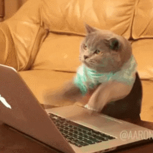 giphy.gif.b66ea3aa805c1f0b538e289b75a17b98.gif