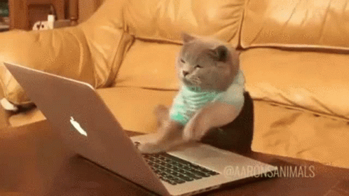 cat-typing.gif.2fcec772ba40039f766b6cf09e1907fb.gif